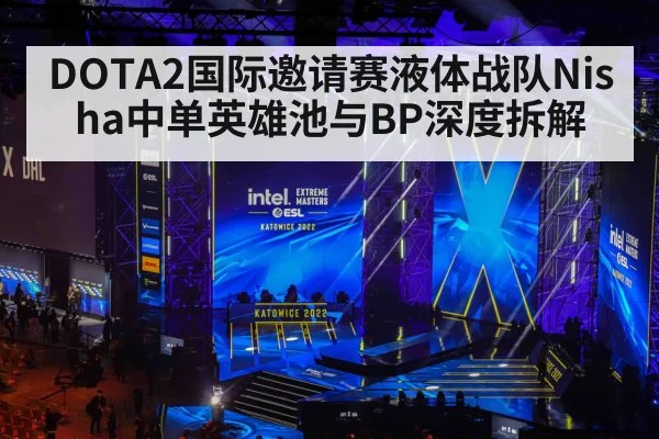 DOTA2国际邀请赛液体战队Nisha中单英雄池与BP深度拆解