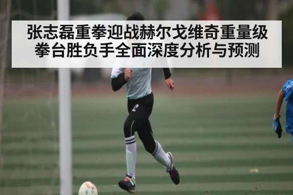 张志磊重拳迎战赫尔戈维奇重量级拳台胜负手全面深度分析与预测